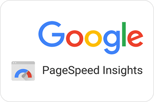 Google PageSpeed Insights Logo