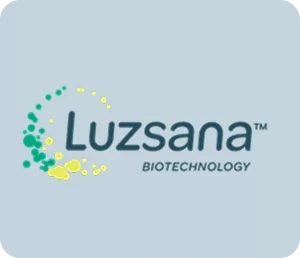 Client - Luzsana